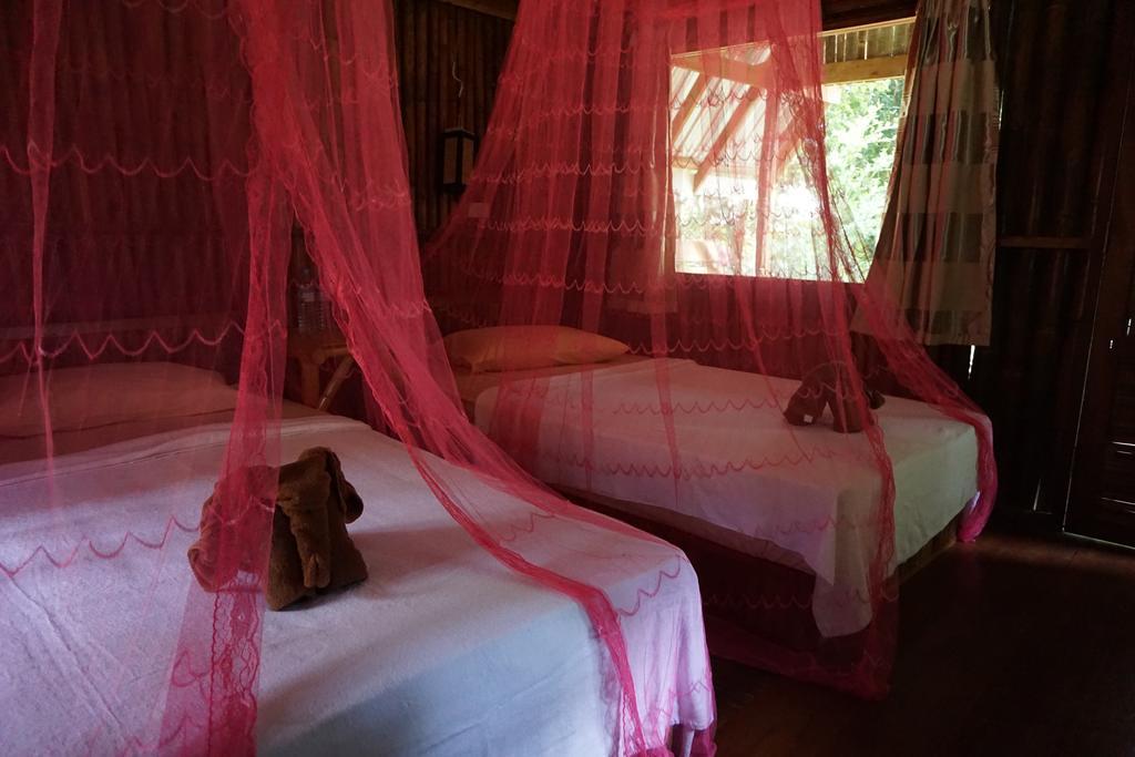 Khao Sok Jungle Resort Khao Sok National Park Szoba fotó