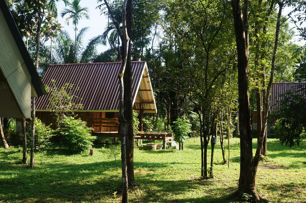 Khao Sok Jungle Resort Khao Sok National Park Szoba fotó