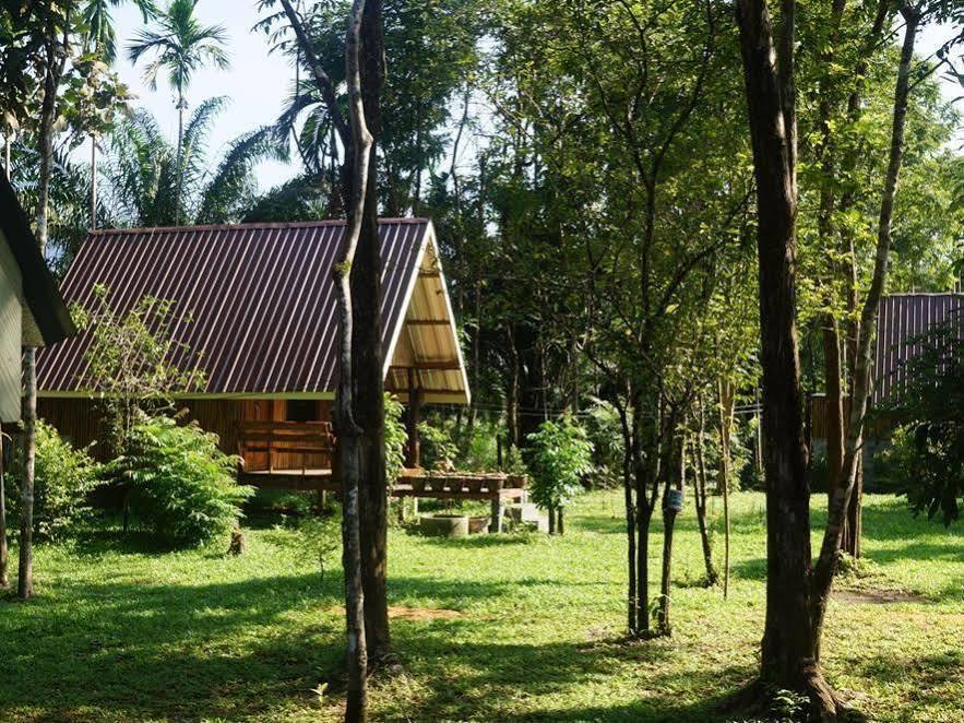 Khao Sok Jungle Resort Khao Sok National Park Kültér fotó