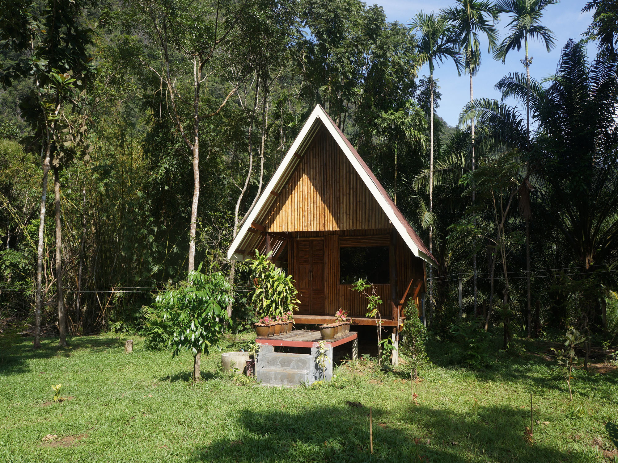 Khao Sok Jungle Resort Khao Sok National Park Kültér fotó